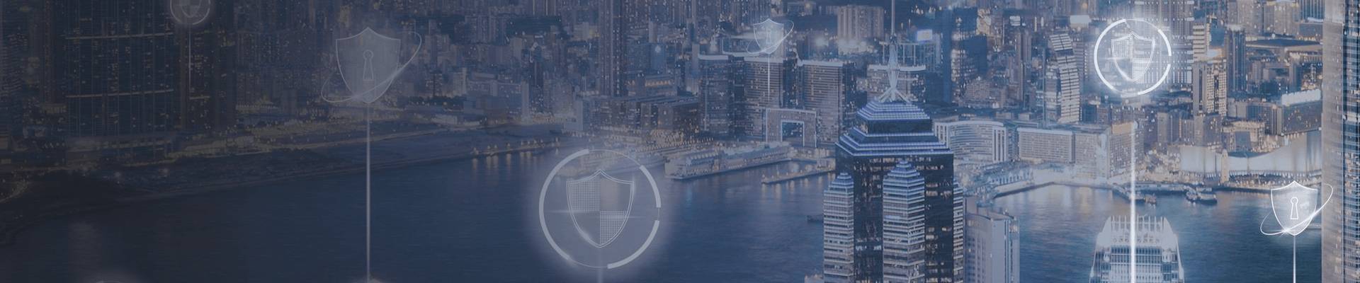 华盾信卫信息技术(浙江)有限公司